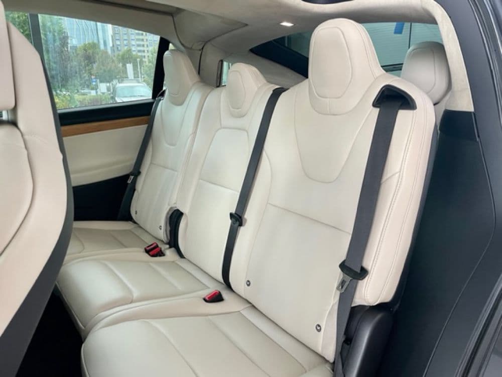 Tesla X 100D 7S 525 KS - 20