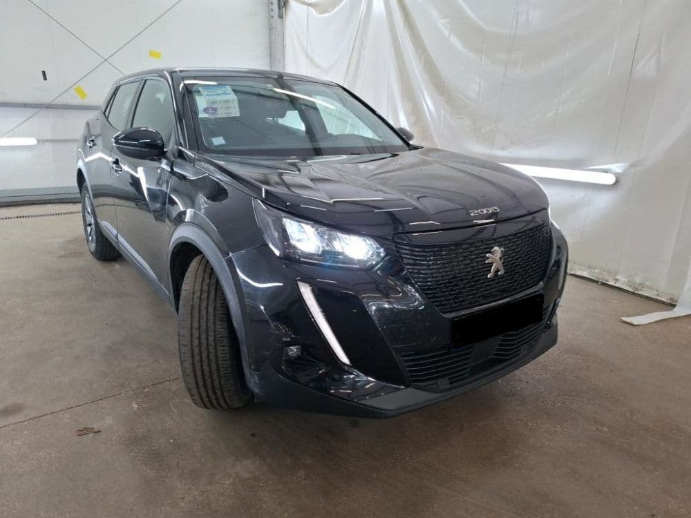 Peugeot 2008 1.2 BZ Business - 2